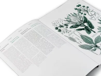 Geschenkpapier Pepin