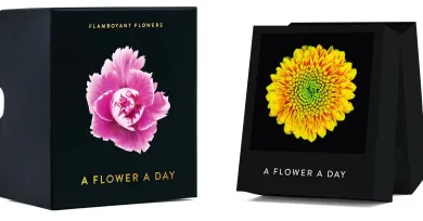 Jahreskalender Flamboyant Flowers