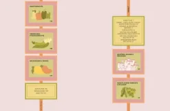 JapanEasy Vegan