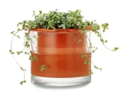 Pflanzgefäß Wet Pot Systems