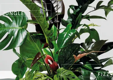 Plants at Work