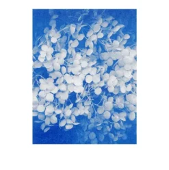 Postkarten-Set Riso