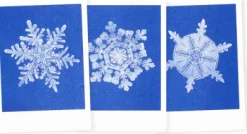 Postkarten-Set Riso Winter