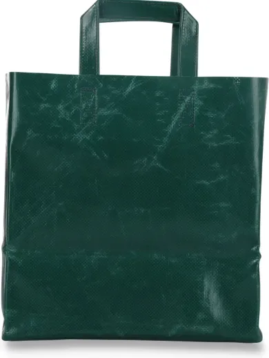 Tasche F250 Sonny