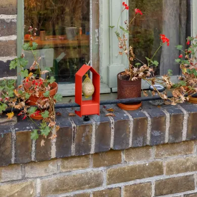 Vogelfutterhaus Tinybird