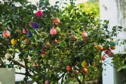 Weihnachtskugel Jipi